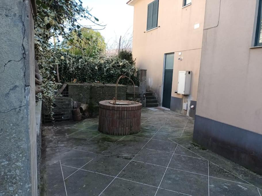 Green Apartment In Sorrento Coast Massa Lubrense Eksteriør billede